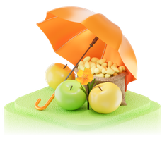 Страхование Страхование